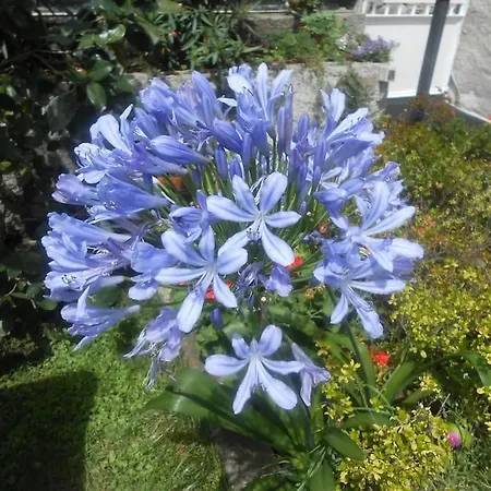 Casa vacanze Casa Colori Poggiridenti